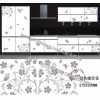 水转。琾p电子水转印，pp电子水移画