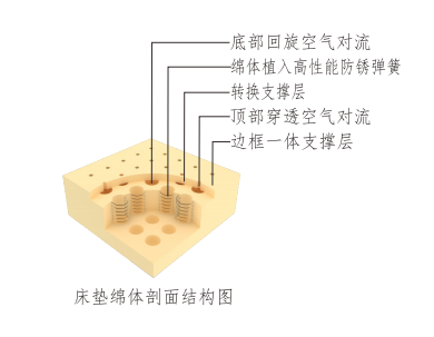 图片11